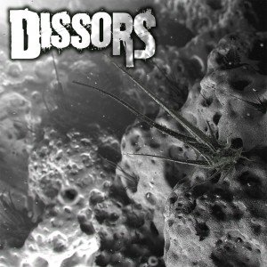 dissors