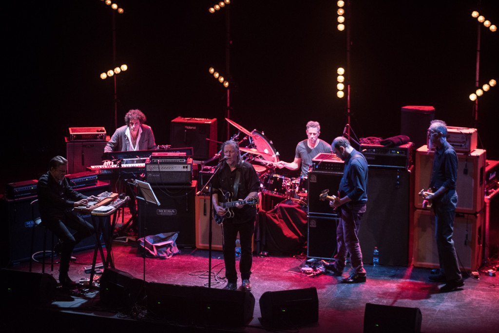 Swans en Chile - Foto: Miguel Fuentes