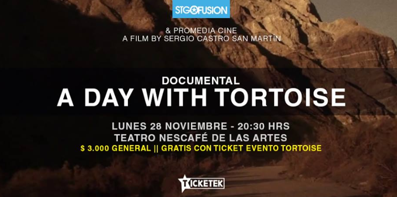 tortoise-documental